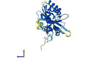AlphaFold protein structure predicition of Human Recombinant APOBEC1 Protein, UniprotID P41238 (APOBEC1 Protein (AA 1-236) (His tag))