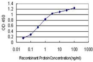 Detection limit for recombinant GST tagged CYP46A1 is approximately 0.