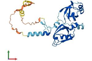 AlphaFold protein structure predicition of Human Recombinant SDCBP2 Protein, UniprotID Q9H190 (SDCBP2 Protein (AA 1-292) (His tag))