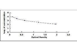 Typical standard curve (Trypsinogen Activation Peptide ELISA Kit)