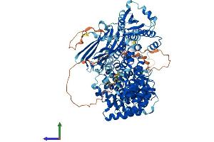 AlphaFold protein structure predicition of Human Recombinant AP2A1 Protein, UniprotID O95782 (alpha Adaptin Protein (AA 1-977) (His tag))