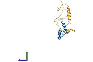AlphaFold protein structure predicition of Mouse Recombinant Id4 Protein, UniprotID P41139 (ID4 Protein (AA 1-161) (His tag))