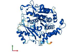 Protein Structure (PS) image for Tubulin, gamma 2 (TUBG2) (AA 1-451) protein (His tag) (ABIN7544327)