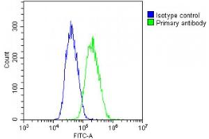 Overlay histogram showing PC-3 cells stained with (ABIN6242412 and ABIN6578812)(green line). (IL-11 antibody  (AA 27-61))