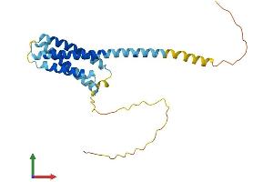AlphaFold protein structure predicition of Human Recombinant CMTM4 Protein, UniprotID Q8IZR5