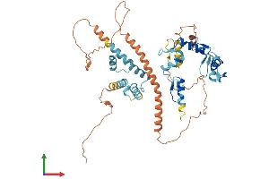 Protein Structure (PS) image for Zinc Finger Protein 165 (ZNF165) (AA 1-485) protein (His tag) (ABIN7545536)