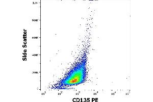 Flow cytometry surface staining pattern of REH cellular suspension stained using anti-human CD135 (BV10A4) PE antibody (20 μL reagent per million cells in 100 μL of cell suspension). (FLT3 antibody  (PE))