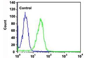 Flow cytometric analysis of Hela cells (green histogram) and an isotype control of mouse IgG1 (blue histogram) reacted with CAPN1 monoclonal antibody  at 1:25 dilution. (CAPNL1 antibody)