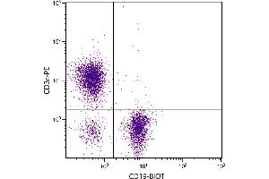 BALB/c mouse splenocytes were stained with Rat Anti-Mouse CD19-BIOT. (CD19 antibody  (Biotin))