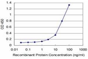 Detection limit for recombinant GST tagged STYK1 is approximately 1ng/ml as a capture antibody. (STYK1 antibody  (AA 50-159))