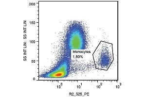 Surface staining of human peripheral blood using anti-CD112 (R2. (PVRL2 antibody  (PE))