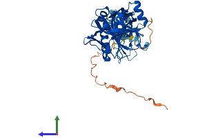 Protein Structure (PS) image for Phytanoyl-CoA 2-Hydroxylase Interacting Protein-Like (PHYHIPL) (AA 1-376) protein (His tag) (ABIN7550772)