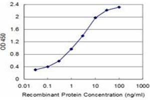 Detection limit for recombinant GST tagged SPAST is approximately 0. (Spastin antibody  (AA 200-304))
