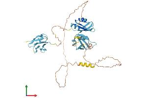 AlphaFold protein structure predicition of Human Recombinant TARDBP Protein, UniprotID Q13148