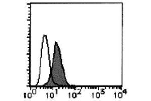 Flow Cytometry (FACS) image for anti-CD300a (CD300A) antibody (FITC) (ABIN2853603) (CD300a antibody  (FITC))