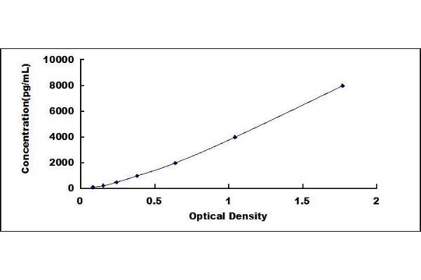 KPNA2 ELISA Kit
