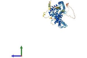 AlphaFold protein structure predicition of Human Recombinant GLE1 Protein, UniprotID Q53GS7