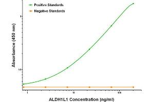 ELISA image for anti-Aldehyde Dehydrogenase 1 Family, Member L1 (ALDH1L1) antibody (ABIN2715903) (ALDH1L1 antibody)