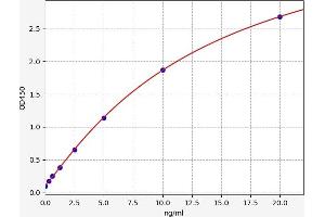 Typical standard curve (TATA Box Binding Protein/TBP-Associated Factors ELISA Kit)