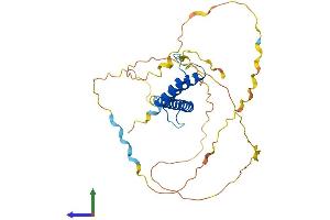 AlphaFold protein structure predicition of Human Recombinant ATOH8 Protein, UniprotID Q96SQ7