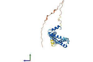 Protein Structure (PS) image for Transmembrane Protein 65 (TMEM65) (AA 1-234) protein (His tag) (ABIN7557398)