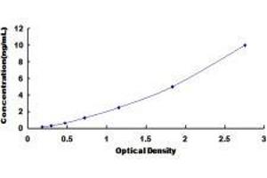 Cannabinoid Receptor 1 (CNR1) ELISA Kit
