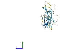 AlphaFold protein structure predicition of Mouse Recombinant Fhad1 Protein, UniprotID A6PWD2 (FHAD1 Protein (AA 1-1420) (His tag))