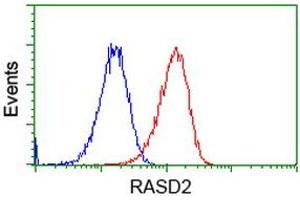 Flow cytometric Analysis of Hela cells, using anti-RASD2 antibody (ABIN2453588), (Red), compared to a nonspecific negative control antibody (TA50011), (Blue). (RASD2 antibody)