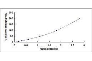 Inter-alpha Globulin Inhibitor H2 Polypeptide (ITIH2) ELISA Kit