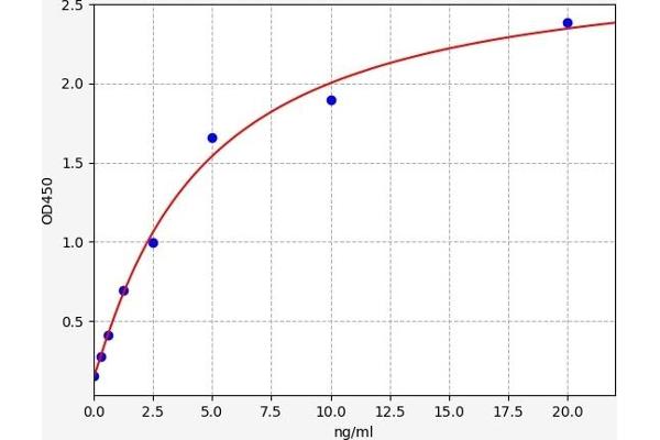 SALL2 ELISA Kit