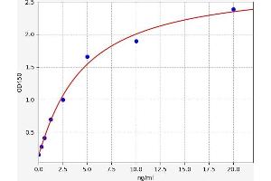 Typical standard curve (SALL2 ELISA Kit)