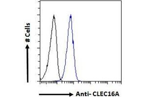ABIN238572 Flow cytometric analysis of paraformaldehyde fixed A549 cells (blue line), permeabilized with 0. (CLEC16A antibody  (Internal Region))