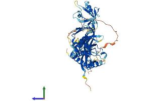 AlphaFold protein structure predicition of Human Recombinant SNTA1 Protein, UniprotID Q13424