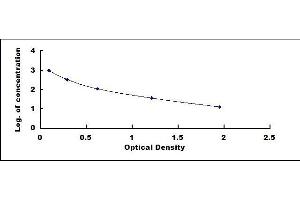 Typical standard curve (CGB ELISA Kit)