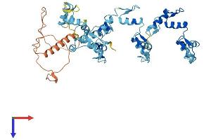 AlphaFold protein structure predicition of Human Recombinant ZNF730 Protein, UniprotID Q6ZMV8 (ZNF730 Protein (AA 1-503) (His tag))