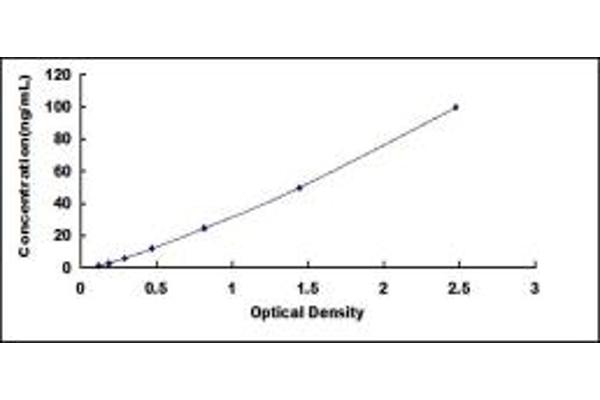 PTK6 ELISA Kit