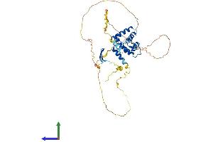 AlphaFold protein structure predicition of Mouse Recombinant Arid3c Protein, UniprotID A6PWV5 (ARID3C Protein (AA 1-409) (His tag))