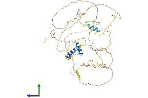AlphaFold protein structure predicition of Human Recombinant GPBP1L1 Protein, UniprotID Q9HC44
