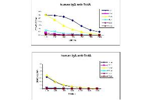 Interpretation of results of six sera from hospitalized patients: pat-1: IgG pos, IgA pospat-2: IgG pos, IgA negpat-3: IgG pos, IgA pospat-4: IgG pos, IgA negpat-5: IgG neg, IgA negpat-6: IgG neg, IgA neg