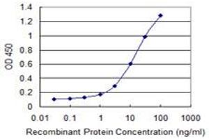 Detection limit for recombinant GST tagged SNAI1 is 0. (SNAIL antibody  (AA 121-230))
