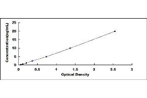 Typical standard curve (LRRFIP1 ELISA Kit)