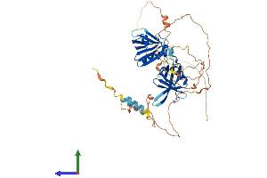 AlphaFold protein structure predicition of Human Recombinant DOK3 Protein, UniprotID Q7L591