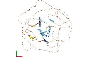 AlphaFold protein structure predicition of Mouse Recombinant Rtn1 Protein, UniprotID Q8K0T0 (Reticulon 1 Protein (RTN1) (AA 1-780) (His tag))