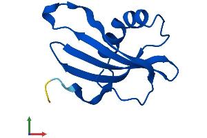 AlphaFold protein structure predicition of Human Recombinant CSTB Protein, UniprotID P04080 (CSTB Protein (AA 1-98) (His tag))