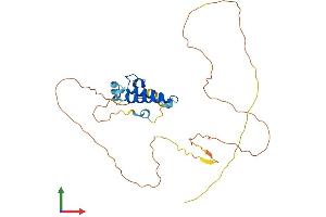 AlphaFold protein structure predicition of Mouse Recombinant Dnajb7 Protein, UniprotID Q9QYI8