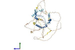 Protein Structure (PS) image for Phosphatase and Actin Regulator 1 (PHACTR1) (AA 1-580) protein (His tag) (ABIN7557004)