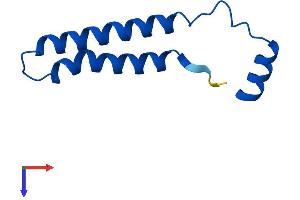 AlphaFold protein structure predicition of Human Recombinant ATP6V0E2 Protein, UniprotID Q8NHE4 (ATP6V0E2 Protein (AA 1-81) (Fc Tag))