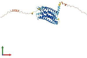 AlphaFold protein structure predicition of Mouse Recombinant Ccr2 Protein, UniprotID P51683 (CCR2 Protein (AA 1-373) (His tag))