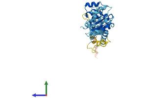 AlphaFold protein structure predicition of Mouse Recombinant Myd88 Protein, UniprotID P22366 (MYD88 Protein (AA 1-296) (His tag))