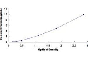 Typical standard curve (ABCC12 ELISA Kit)